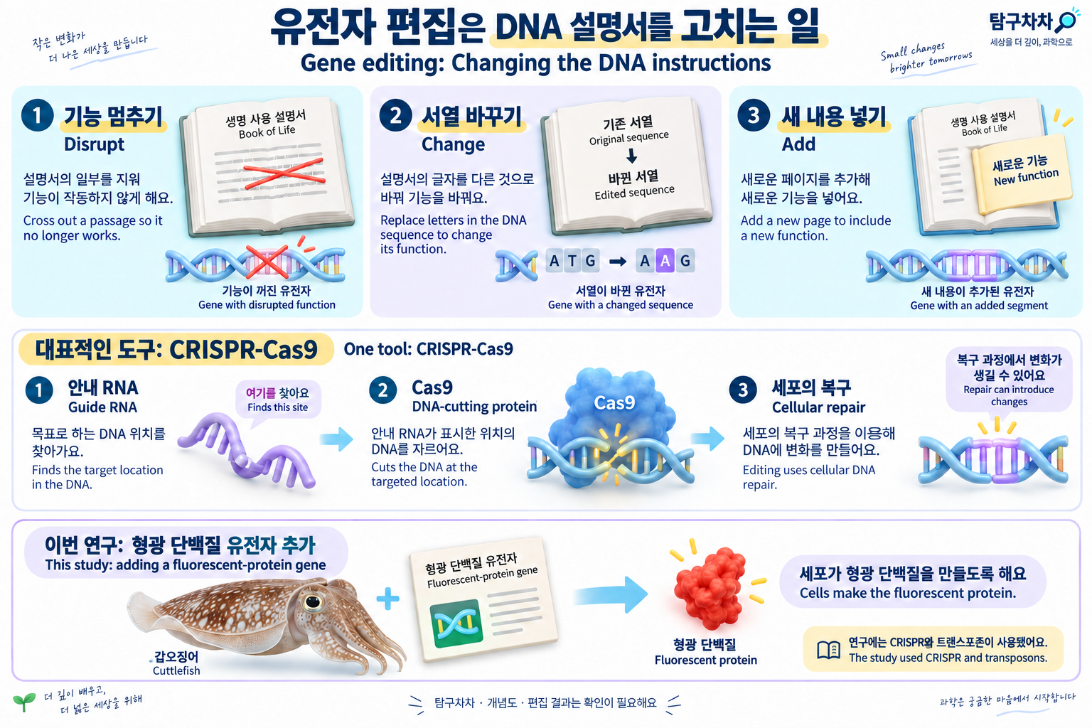 DNA 설명서를 고치는 비유: 기능 멈추기, 서열 바꾸기, 새 내용 넣기와 CRISPR-Cas9의 역할