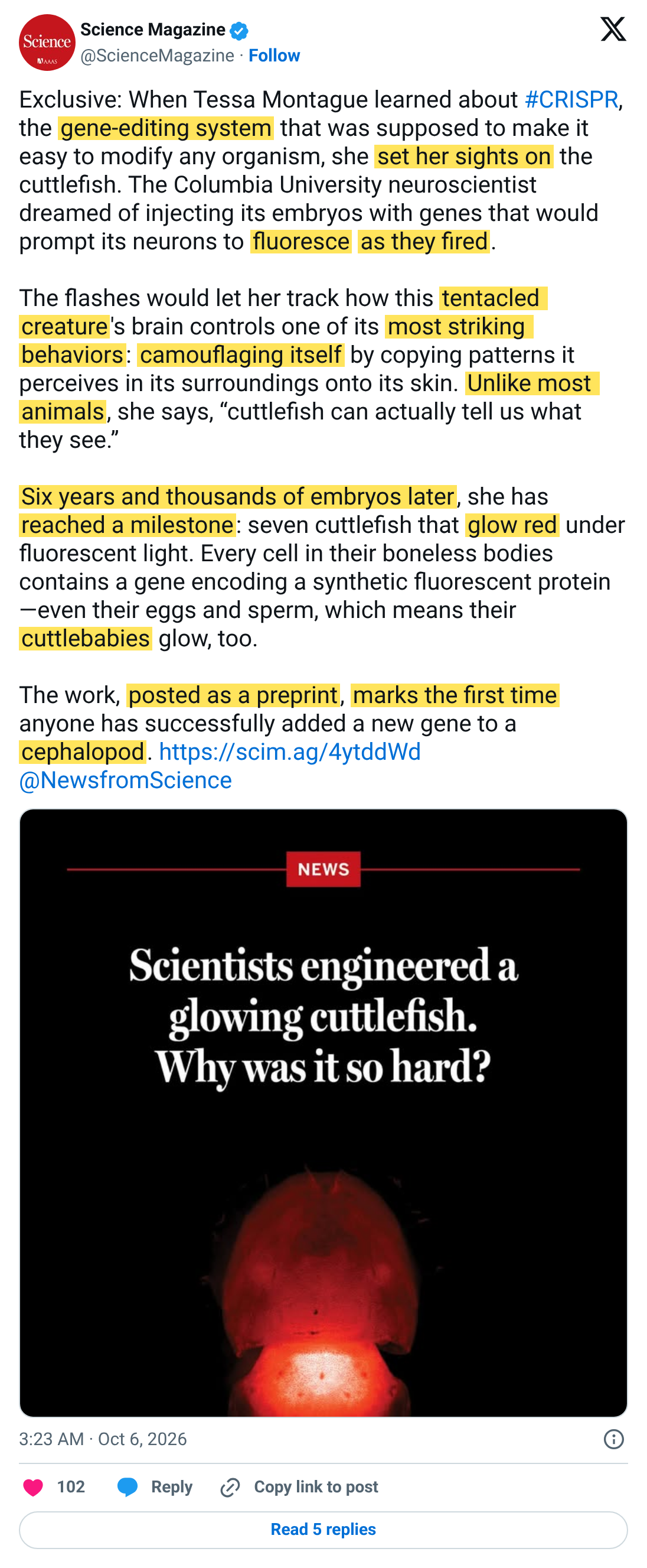 Science의 형광 갑오징어 연구 영어 포스트